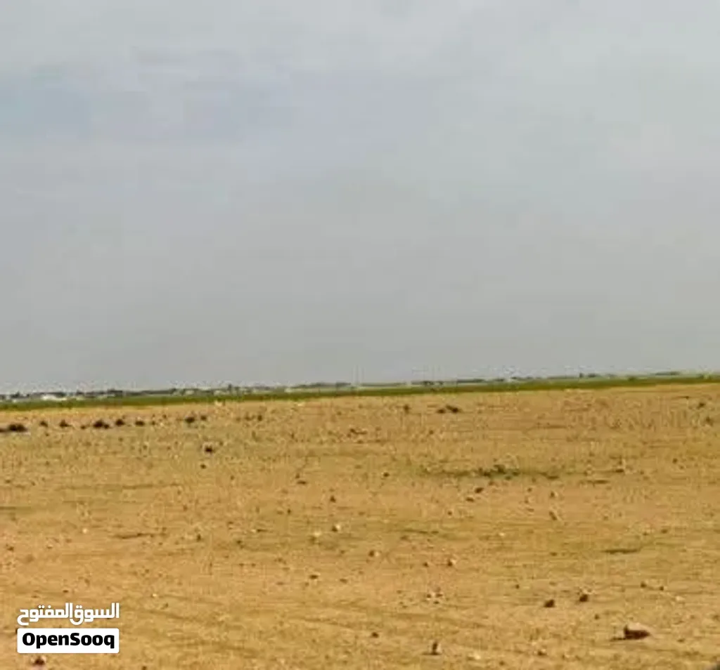 صورة 7 لـ نصف هكتار (5,000 متر مربع) بموقع ممتاز – النواقية — بنغازي